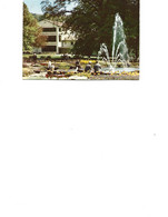 Germany - Postcard Used 1966 - Bad Driburg - Spa Park With Illuminated Fountain And Spa House    2/scans - Bad Driburg