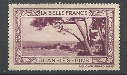 France Vignette HV  Belle France Juan Les Pins         Neuf ( * ) AB     Voir Scans    Soldes ! ! ! - Turismo (Viñetas)