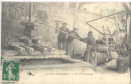 LES   VENDANGES  LE  PRESSURAGE - Wijnbouw