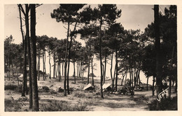 St Brévin L'océan * Les Campeurs En Forêt Du Pointeau - Saint-Brevin-l'Océan