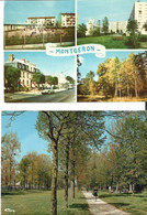 2 Cartes SM / 91 MONTGERON - Montgeron