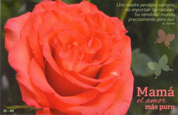 Lote PEP539, Cuba, 2014, Entero Postal, Postal Stationary,  Flower, Orchid Postcard, Mother's Day, 23/40, Postcard - Tarjetas – Máxima