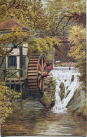 A R QUINTON - SALMON 1977 - THE WATERWHEEL, GROUDLE GLEN. I OF MAN - Quinton, AR