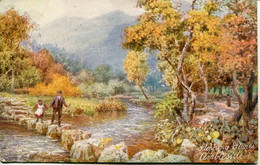 HENRY WIMBUSH - TUCKS 7287 - STEPPING STONES, AMBLESIDE - Wimbush