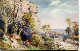 HENRY WIMBUSH - TUCKS 7586 - THE UNDERCLIFF, VENTNOR - Wimbush