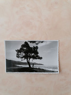 Vue Sur La Plage - Cavalaire-sur-Mer