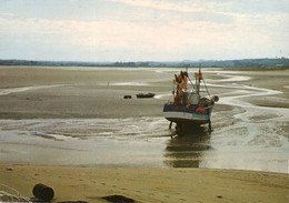 Kernic Cove At Low Tide, Plouescat, Finistère, Brittany, France - Plouescat