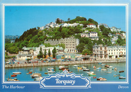 The Harbour, Torquay, Devon - Torquay