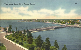 TAMPA - VIEW ALONG SHORE DRIVE - Tampa