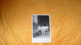 CARTE POSTALE PHOTO ANCIENNE NON CIRCULEE DATE ?../ SCENE SORTIE DE FERTME ?..AGRICULTEUR, VACHE... - Fermes