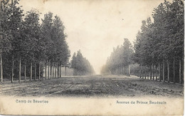 Camp De BEVERLOO - Avenue Du Prince Baudouin - Oblitération De 1909 - Leopoldsburg (Camp De Beverloo)