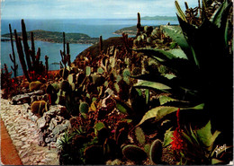 (2 Oø 31) France (posted 1967) Eze (Jardin Exotique) - Cactussen