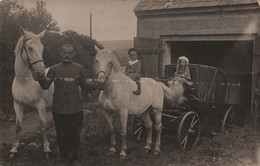 Photographie - Homme Et Enfants Avec Chevaux Et Calèche Devant Une Grange  - Carte Postale Ancienne - Photographs