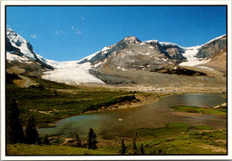 Canada Jasper National Park The Columbia Icefield - Jasper