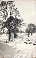 Delcampe - (2 Oø 35) UK - Posted 1951 - Winter Scenery  (trees And Snow) - Bäume