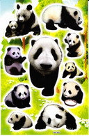 Pandabär Tiere Aufkleber / Panda Bear Sticker A4 1 Bogen 27 X 18 Cm ST320 - Scrapbooking