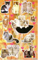 Katze Kitten Tiere Aufkleber / Cat Kittyr Sticker A4 1 Bogen 27 X 18 Cm ST364 - Scrapbooking