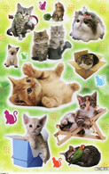 Katze Kitten Tiere Aufkleber / Cat Kitty Sticker A4 1 Bogen 27 X 18 Cm ST324 - Scrapbooking