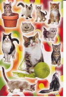 Katze Kitten Tiere Aufkleber / Cat Kitty Sticker A4 1 Bogen 27 X 18 Cm ST275 - Scrapbooking