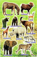Safari Zoo Tiergarten Tiere Aufkleber / Animal Sticker A4 1 Bogen 27 X 18 Cm ST514 - Scrapbooking