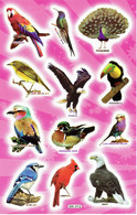 Vogel Tiere Aufkleber / Bird Sticker A4 1 Bogen 27 X 18 Cm ST495 - Scrapbooking