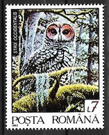 Romania - MNH ** 1992 :   Spotted Owl  - Strix Occidentalis - Hiboux & Chouettes