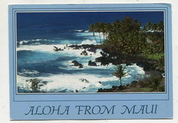 AK 112536 USA - Hawaii - Maui - Maui