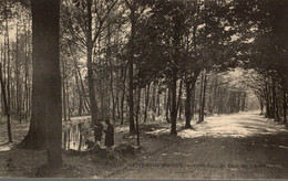 Nogent Sur Marne Petit Lac Du Bois De Vincennes - Laval