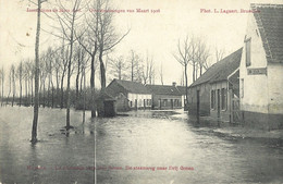 Hamme.   -   De Steenweg Naar Drij Goten.   -   Overstroomingen Van Maart 1906  -   1906  Termonde  Naar   Gent - Hamme