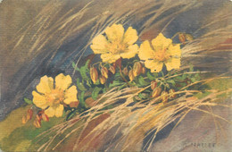 Signed Painting A. Haller Flora Postcard Wild Flowers - Haller, A.