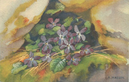 Flora Signed Painting A. Haller Postcard Wild Flowers - Haller, A.