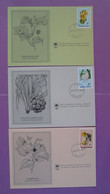 Série De 3 Cartes FDC Set Of 3 Cards Fleurs Flowers Maldives 1979 - Maldives (1965-...)