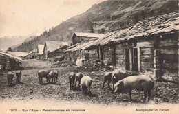 SUISSE - S09536 - Sur L'Alpe - Pensionnaires En Vacances - Agriculture - Cochons - Kostganger In Ferien - L1 - Sion