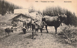 SUISSE - S09538 - Troupeau Sur L'Alpe - Agriculture - Alpenweide - L1 - Au