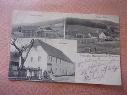 ♥️  ALLEMAGNE GRUSS AUS HAGENMUHLE PLEISTEIN PLEYSTEIN - Neustadt (Weinstr.)