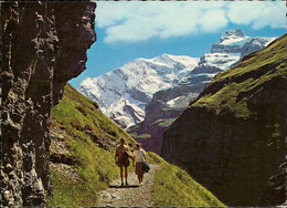 1106549  Weg Nach Gamchialp Hinter Griesalp Im Kiental, Mit Morgenhorn-Wilde ... - Wil