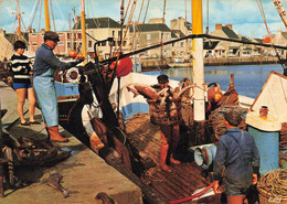 St Vaast La Hougue * Le Retour De Pêche Au Port * Pêcheur - Saint Vaast La Hougue