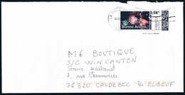 France - Mon Timbre En Ligne - Lettre Du 04-02-2011 - Faciale 0.58€ - Printable Stamps (Montimbrenligne)