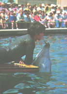 Georgia:Batumi Delfinarium, Arena, Dolphin With Coach, 1980 - Dauphins