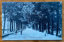 LUCCA - VIALE DELLA PASSEGGIATA - VIAGGIATA 1930 -  P.F.-E 456 - Lucca