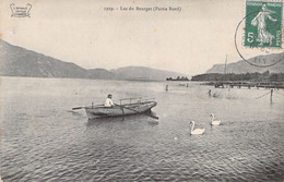 FRANCE - 73 - LAC DU BOURGET - Partie Nord - Cygne  - Carte Postale Ancienne - Andere & Zonder Classificatie