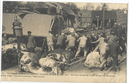 72    CHATEAU - DU - LOIR  OUVRIERS  SORTANT  LES BOEUFS  DE  SOUS  LES  DECOMBRES - Chateau Du Loir