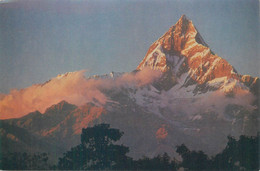 Postcard Nepal Pokhara Peak Of Machhapuchhare - Népal