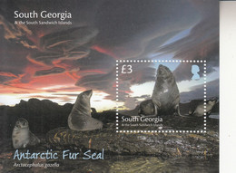 2018 South Georgia Antarctic Fur Seal  Souvenir Sheet MNH - South Georgia