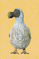 Mauritius Maurice Dodo Birds Extinct 1981 - Maurice