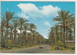 Alexandria, Ägypten - Alexandria