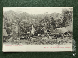 1904 POSTCARD PHOTOGRAPHIE R.VISSER, DÉPOSE CONGO.  LA PLANTATION DU LAE CAIJO Nº 22 - Congo Francese