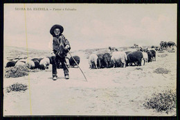 SERRA DA ESTRELA - PASTORES - Pastor E Rebanho. ( Edição De A. Oneto - Observatorio)  Carte Postale - Guarda