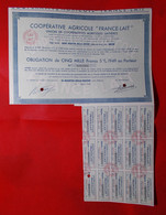 Obligation Au Porteur, Coopérative Agricole "France Lait" à Saint Martin Belle Roche (Saône Et Loire) Près Mâcon, 1949 - Agriculture