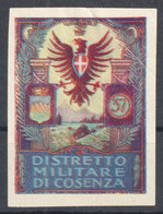 Distretto Militare Di Cosenza 37 WW1 World War Military Charity Label Cinderella Vignette 1914 ITALY Delandre - War Propaganda